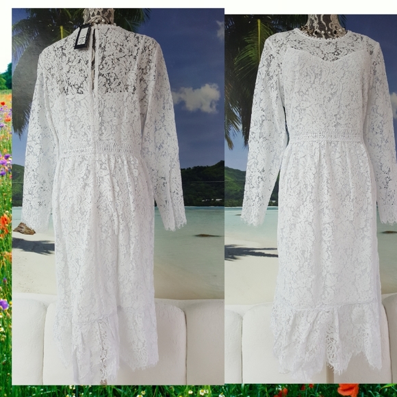 Elegant White Lace Midi Dress - Picture 9 of 12
